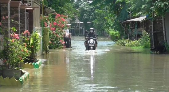 Banjir Melanda Sidoarjo, Puluhan Rumah Tergenang Akibat Hujan Deras