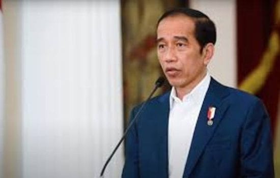 Dipecat PDI Perjuangan, Partai Golkar Buka Pintu untuk Jokowi